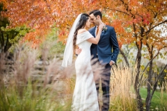 Captured by Robert and Jill Lawley Photography LLC - (Lawleysphotography.com)